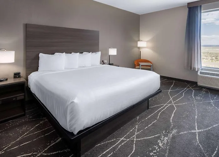 Hotel La Quinta & By Wyndham Petrified Forest Holbrook